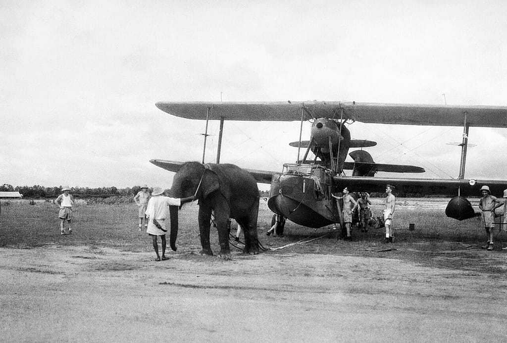 An elephant pulling a Walrus in India, 1944