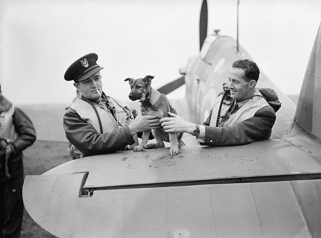 Pilots of 303 Squadron