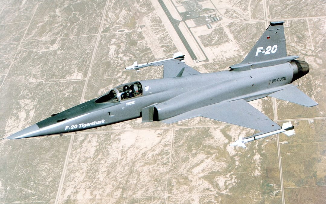The Best Fighter Nobody Would Buy