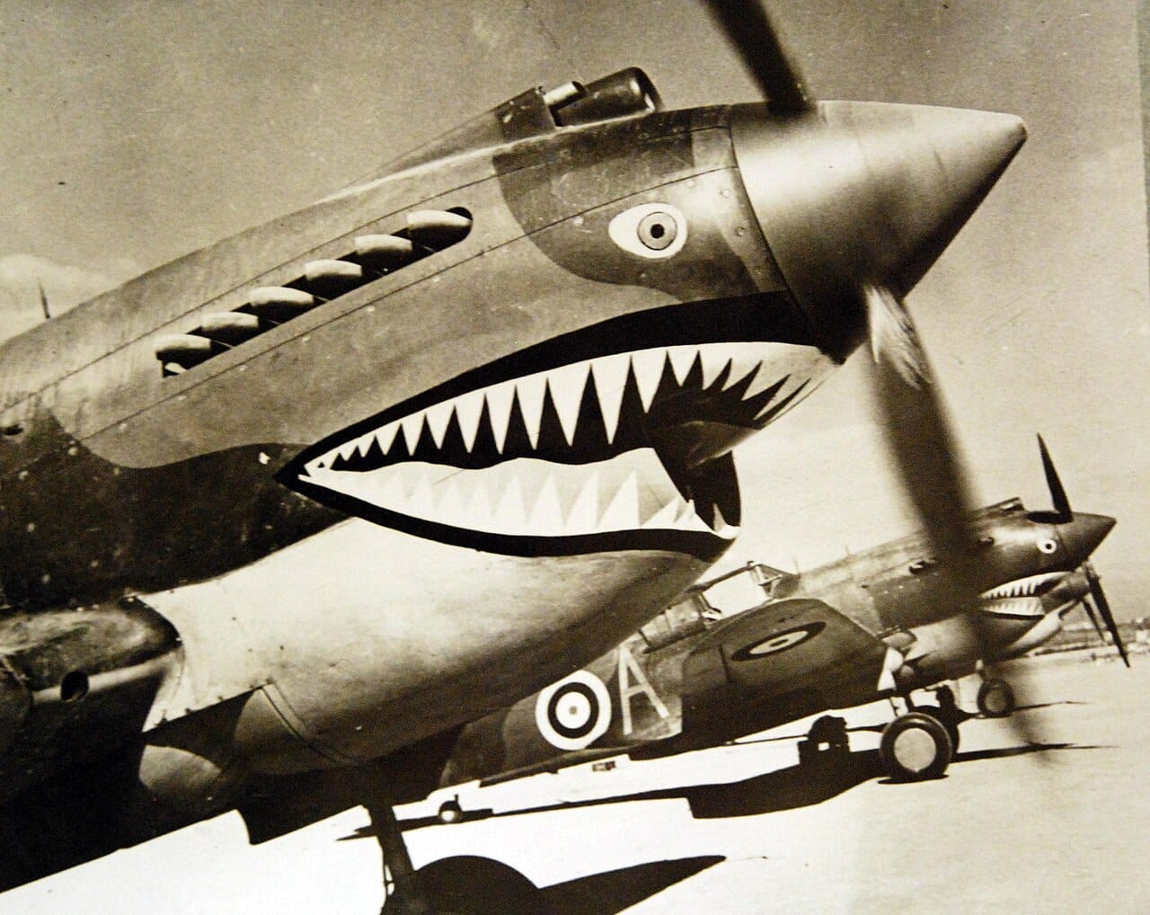 Caccia Curtiss P-40 Tomahawk, campagna del Nord Africa, Seconda Guerra Mondiale Curtiss P-40 Tomahawk in Nord Africa: il tipo di aereo alleato che Hans-Joachim Marseille padroneggiò per distruggere