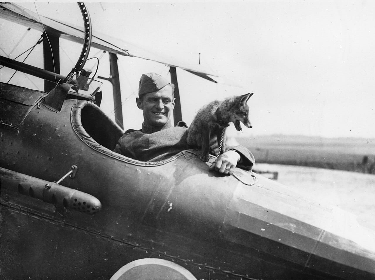 A WWI British pilot in his aircraft — the era in which Albert Ball became England's most celebrated flying ace