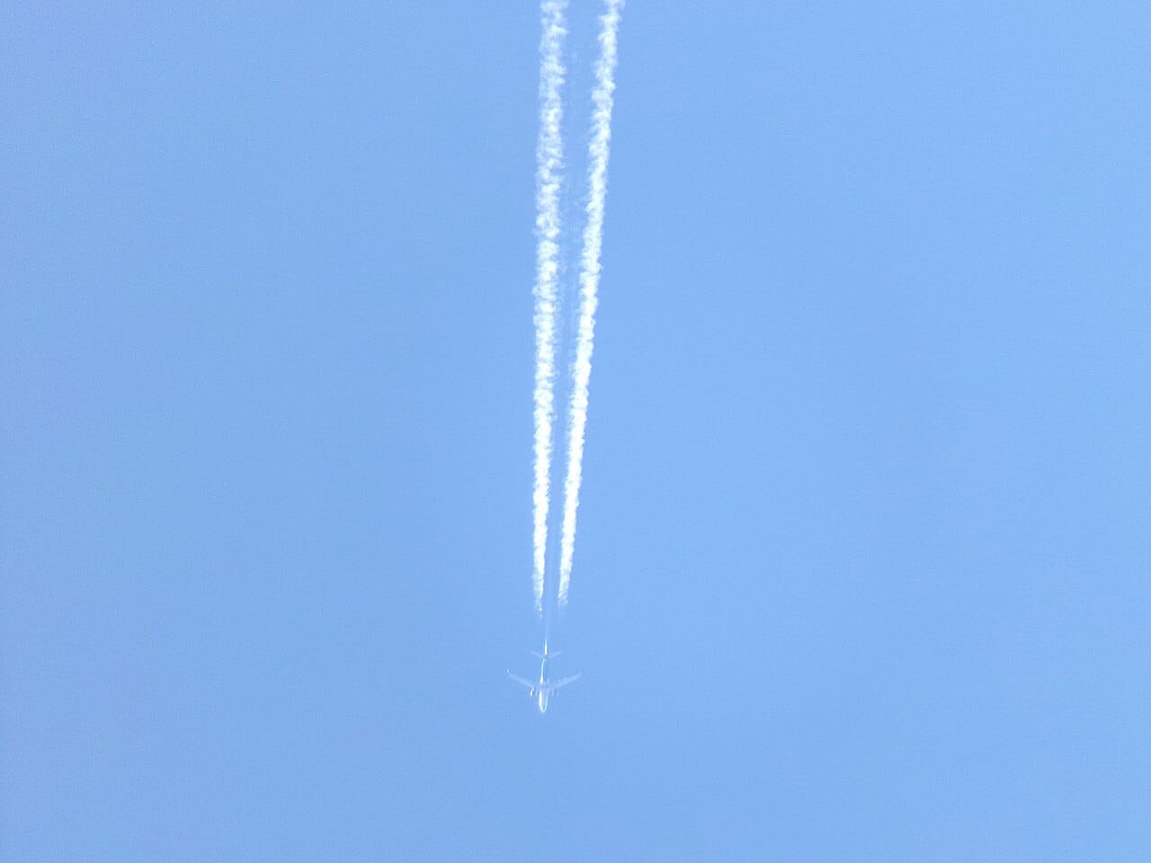 Un aereo di linea Boeing 737 MAX 8 in volo