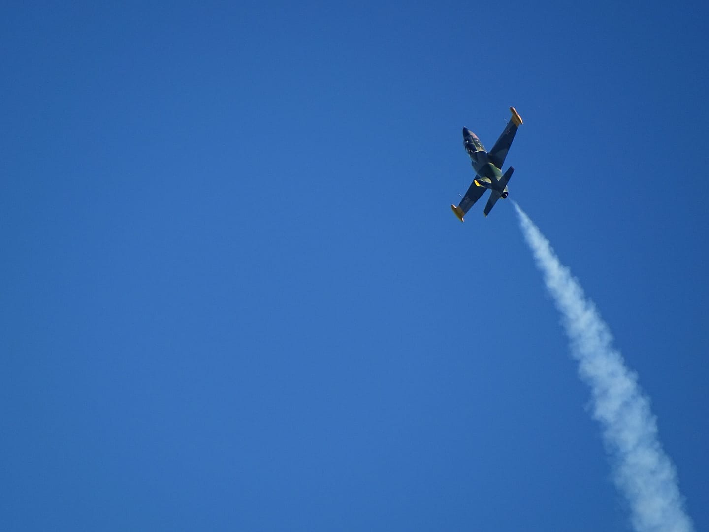 Un Aero L-39 Albatros traînant de la fumée lors d'un spectacle aéronautique