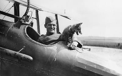 Albert Ball: The Boy Hero Who Hated Killing — And Couldn’t Stop