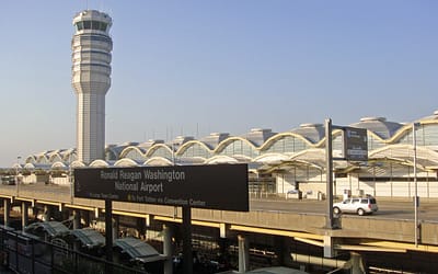 When Pilots Meow at ATC: Aviation’s Funniest Radio Moments