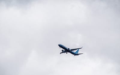 Boeings Baby- und Riesen-737 bestehen den Test