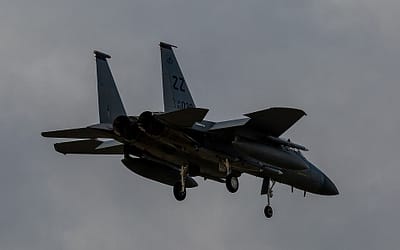 The Eagle That Never Lost A Fight