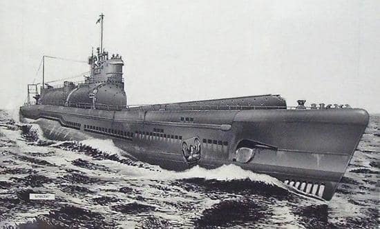 The giant Aircraft carrying Submarines