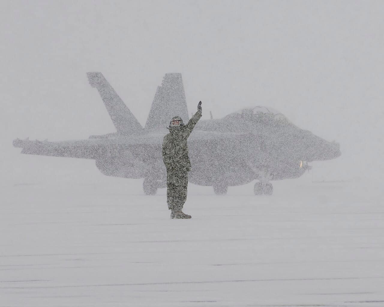 A U.S. Navy EA-18G Growler electronic attack aircraft