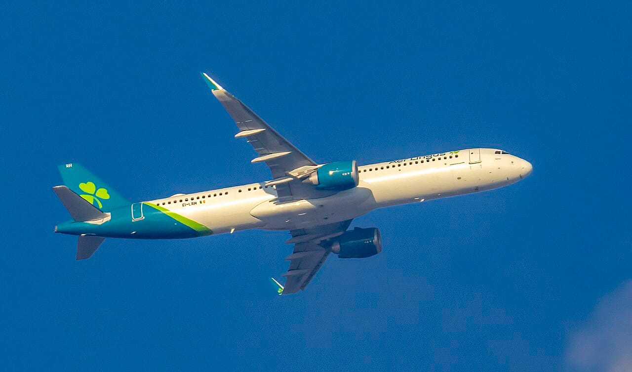 Airbus A321neo in volo