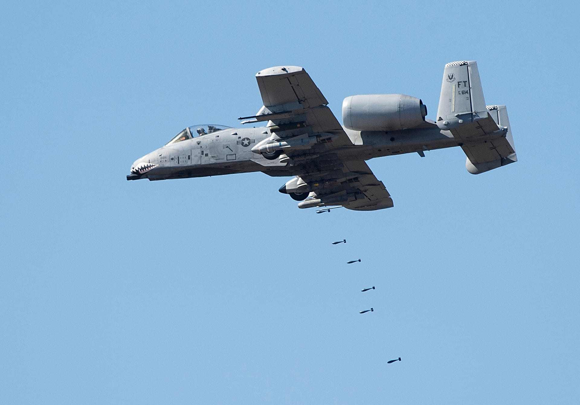 An A-10 Thunderbolt II releases a bomb over a range