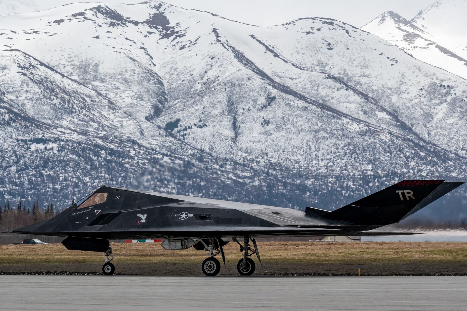 An F-117 Nighthawk