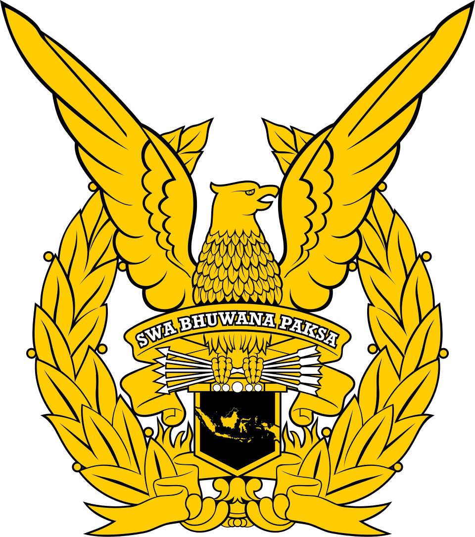 Indonesian Air Force aircraft