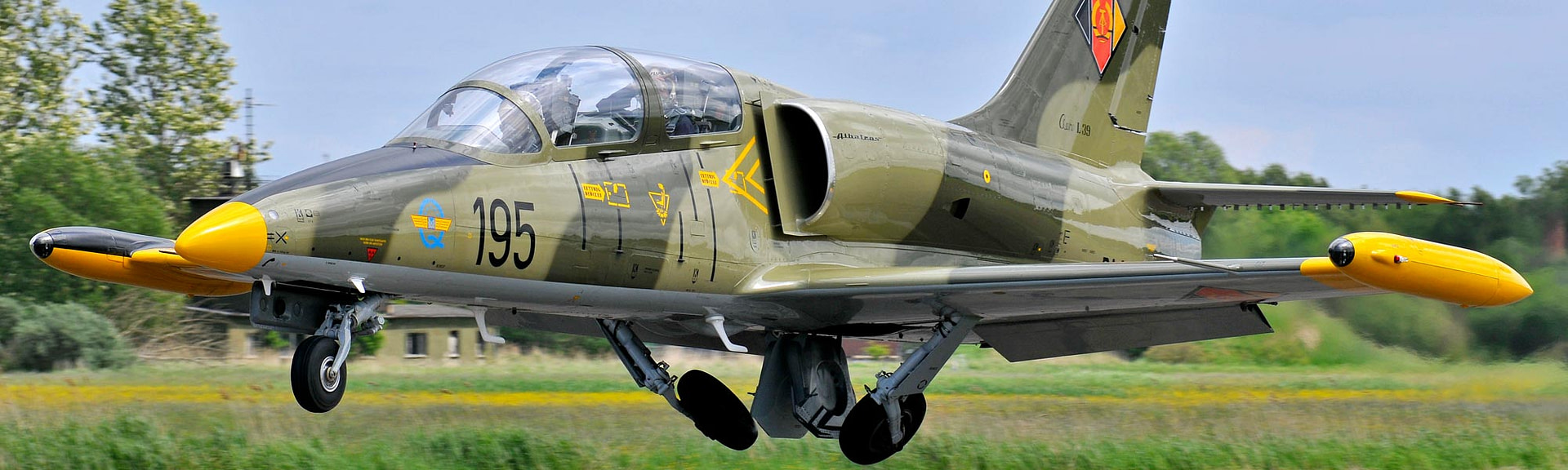 L-39 Albatros fliegen