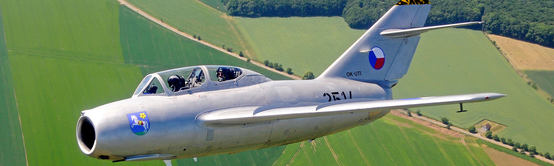 MiG-15 Fagot - Jet Warbird Legende