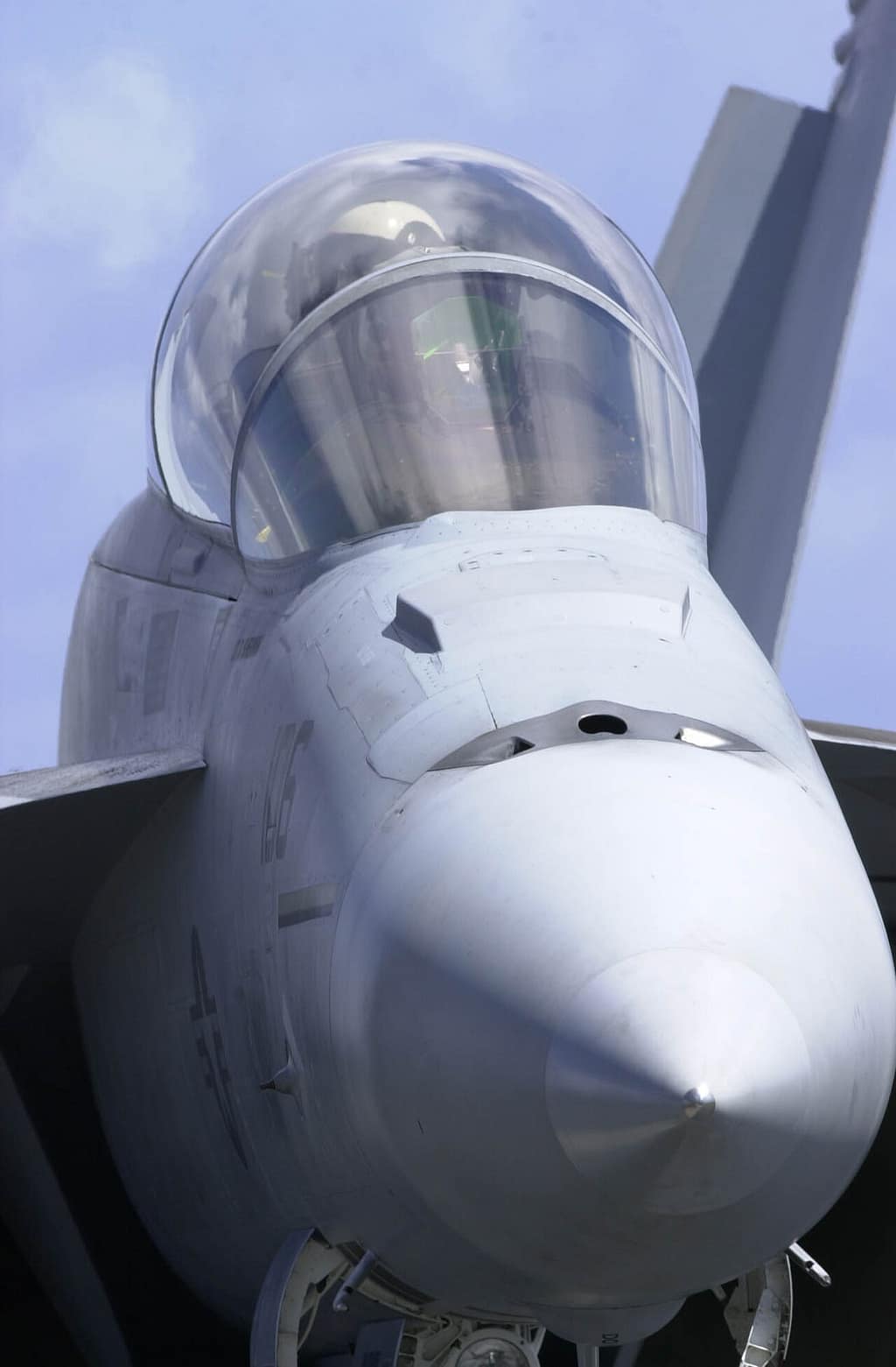 An F/A-18F Super Hornet of VFA-41, the Black Aces