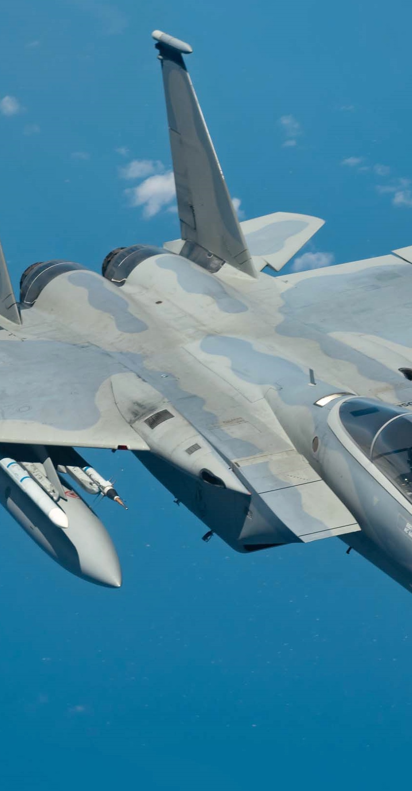 McDonnell Douglas F-15 Eagle — History, Specs & Stories | MiGFlug