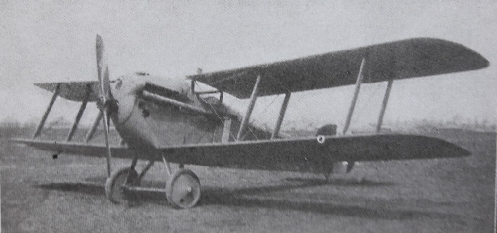A Sopwith Dolphin single-seat fighter of the type Poland flew in the Polish-Soviet War