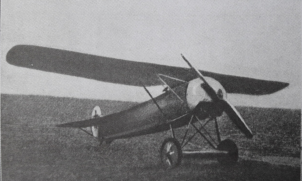 An E.V / D.VIII in German service in 1918, showing the clean parasol wing that gave the fi