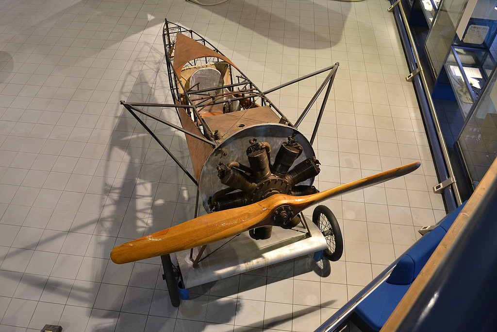 Top view of a preserved D.VIII — the single broad wing and knife-thin planform seen from d