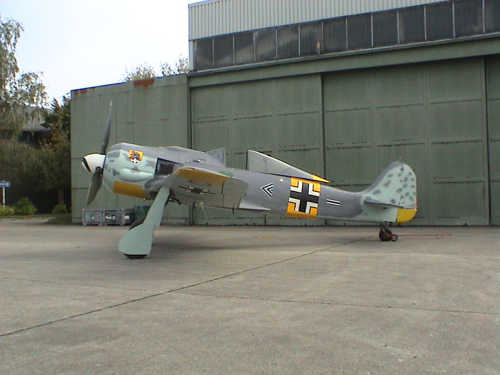 Airworthy Flug Werk Focke-Wulf Fw 190 Wurger reproduction outdoors