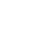 美国空军徽章