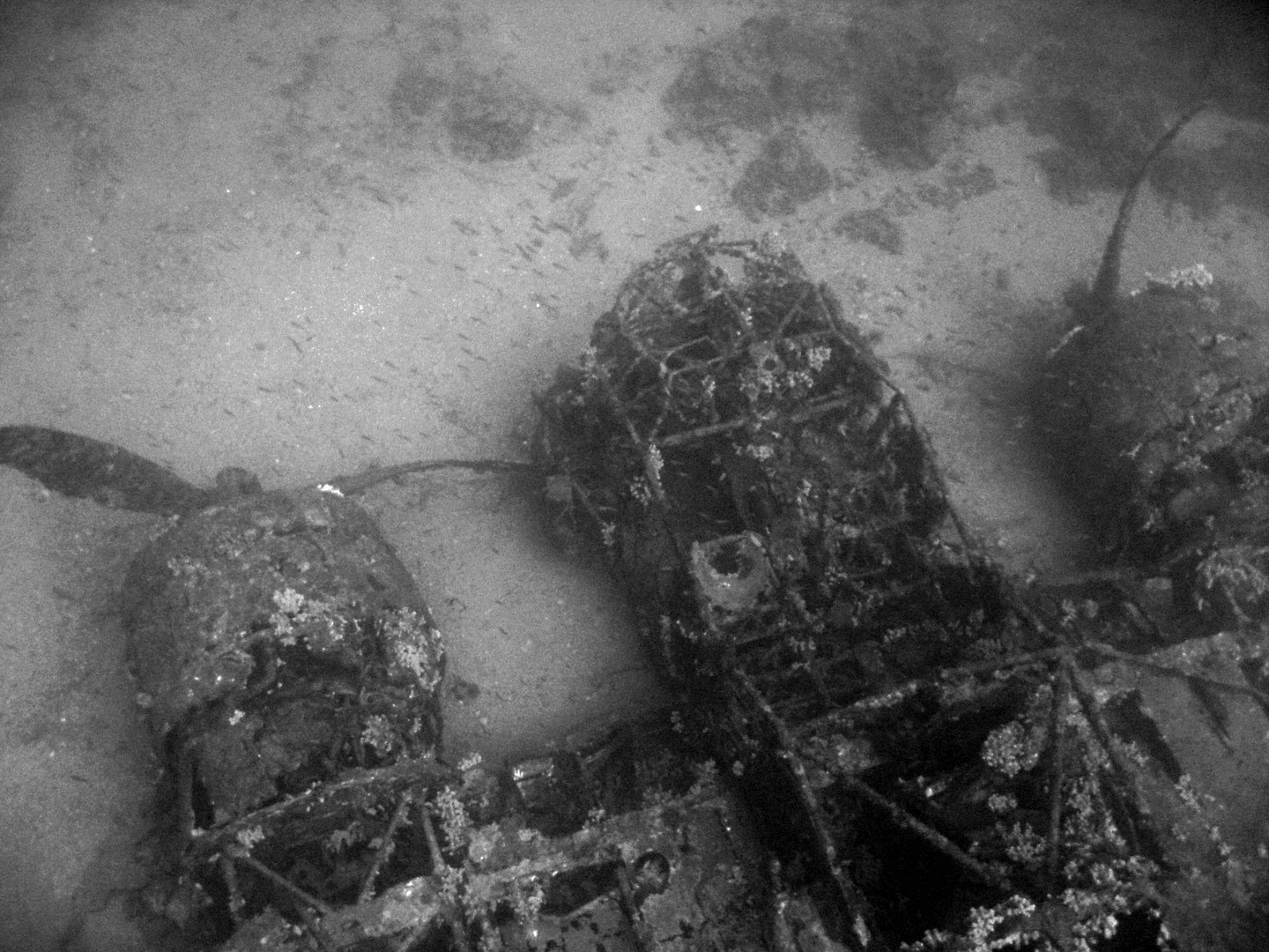 Wreck of a Fiat BR.20 seen from above