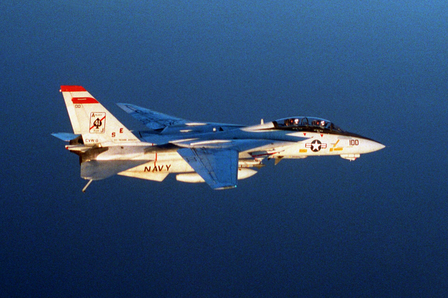 Grumman F-14 Tomcat swing-wing fighter of the US Navy in flight
