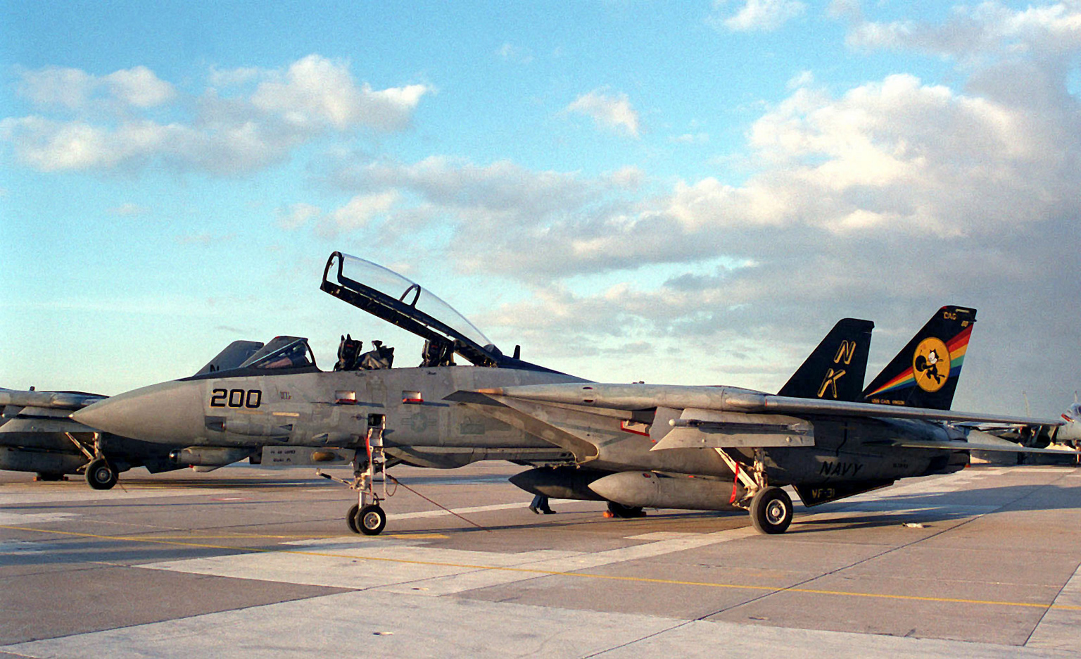 Grumman F-14 Tomcat in flight