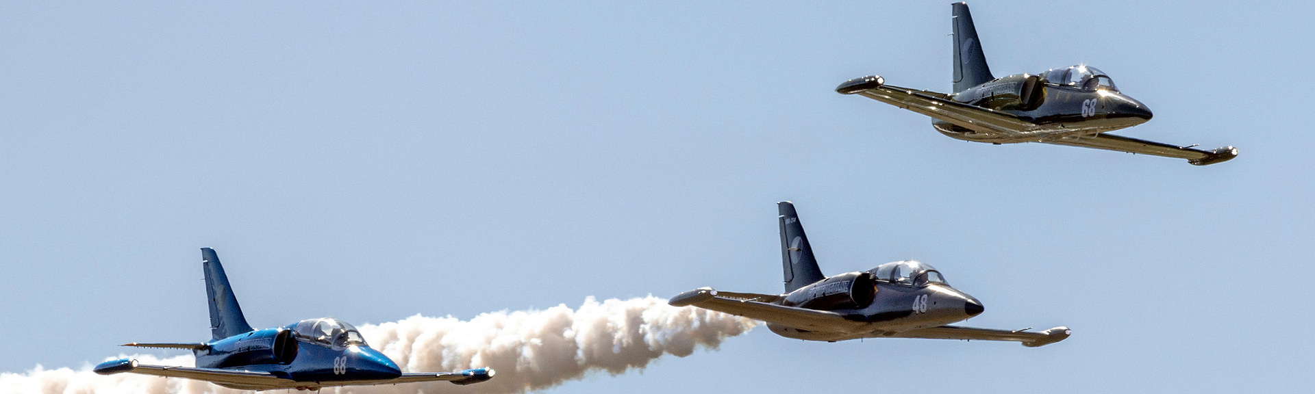 Jets juntos (1) L-39 Albatros en Riga con las abejas bálticas