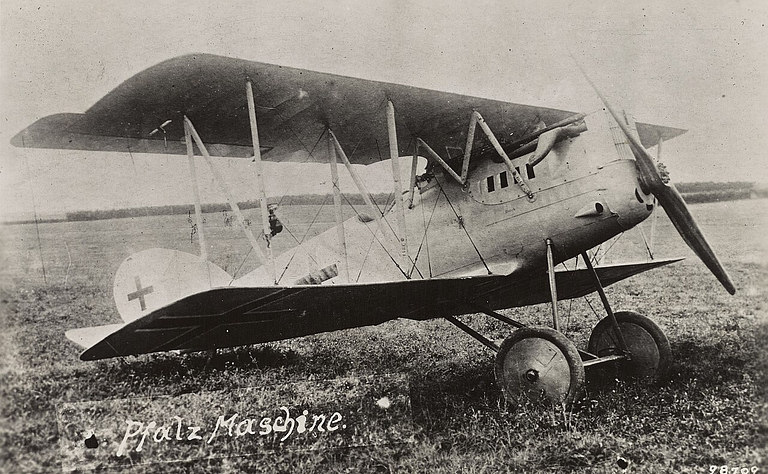 Pfalz D.XII