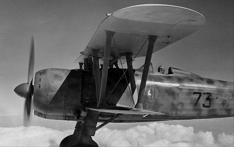 A Fiat CR.42 Falco of the 73rd Squadriglia