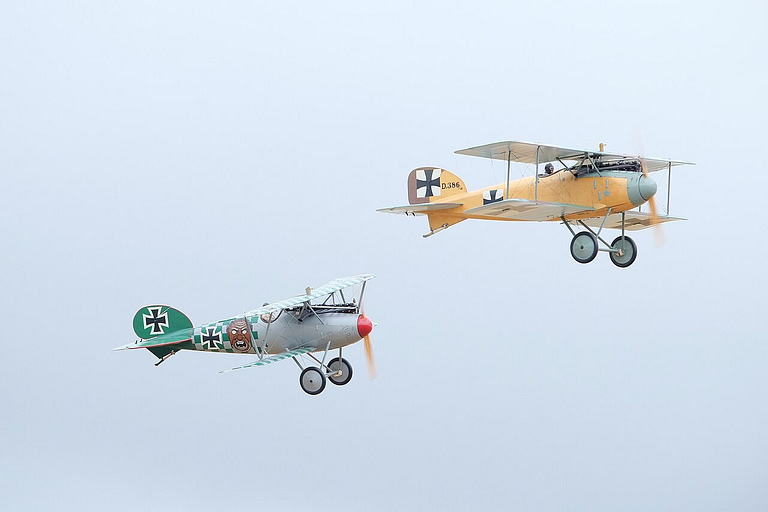 Albatros D.I / D.II