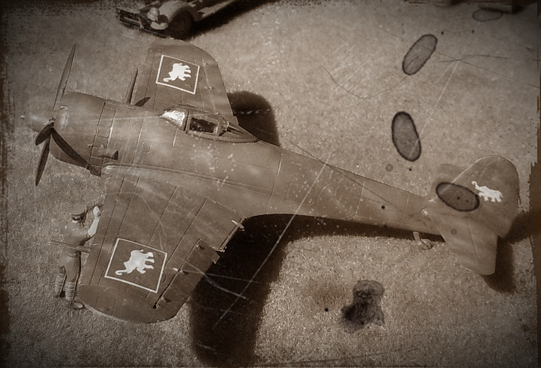 A Ki-43 in Royal Thai Air Force markings one of Japans wartime partners.
