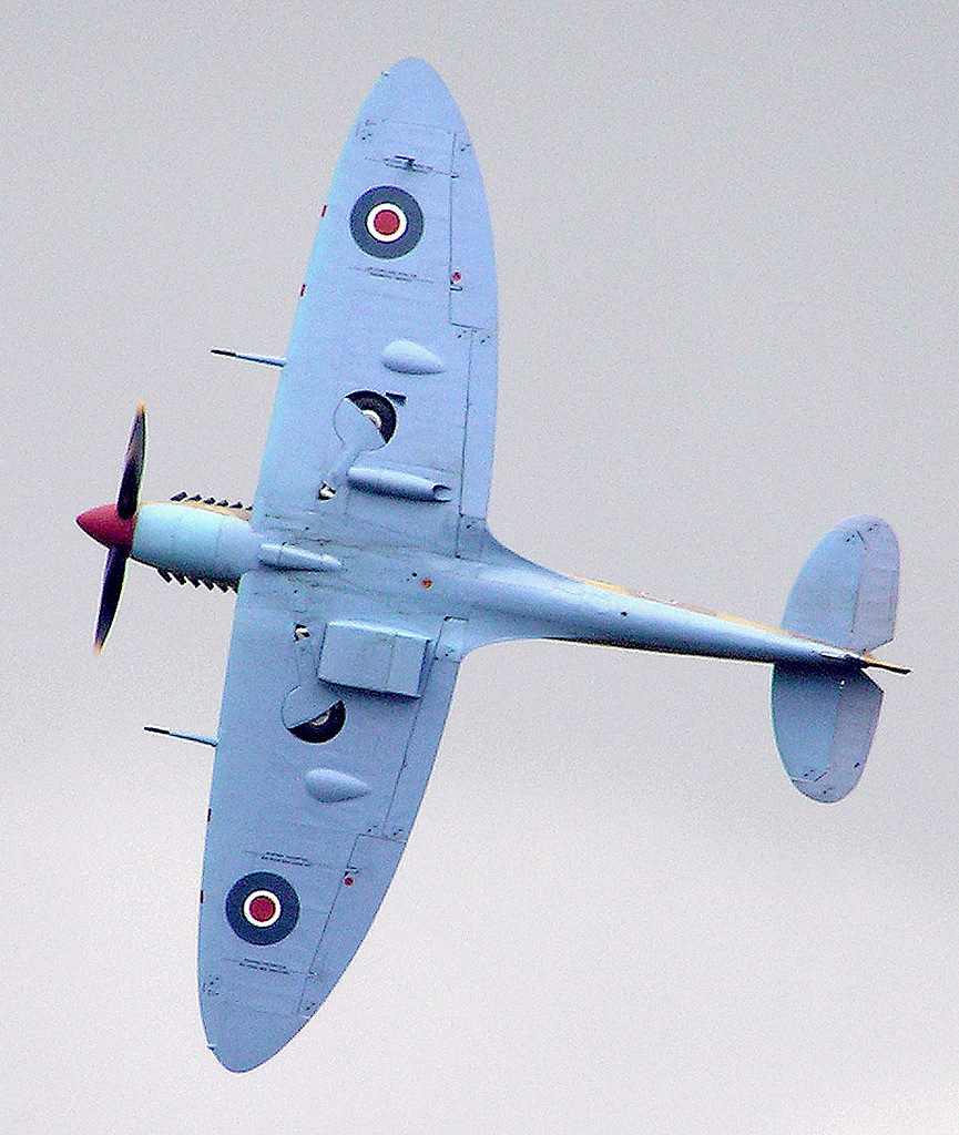 Supermarine Spitfire warbird in flight showing its elliptical wing