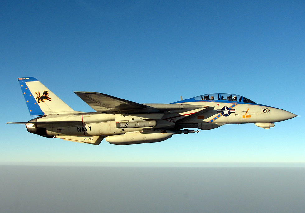 A specially painted F-14D Bombcat of VF-213 over the Persian Gulf.