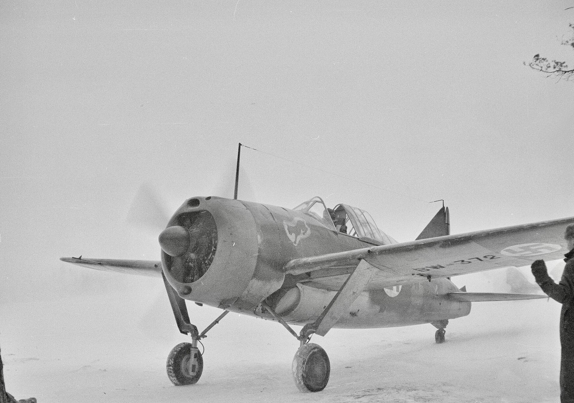 Finnish Brewster Model 239 during the Continuation War