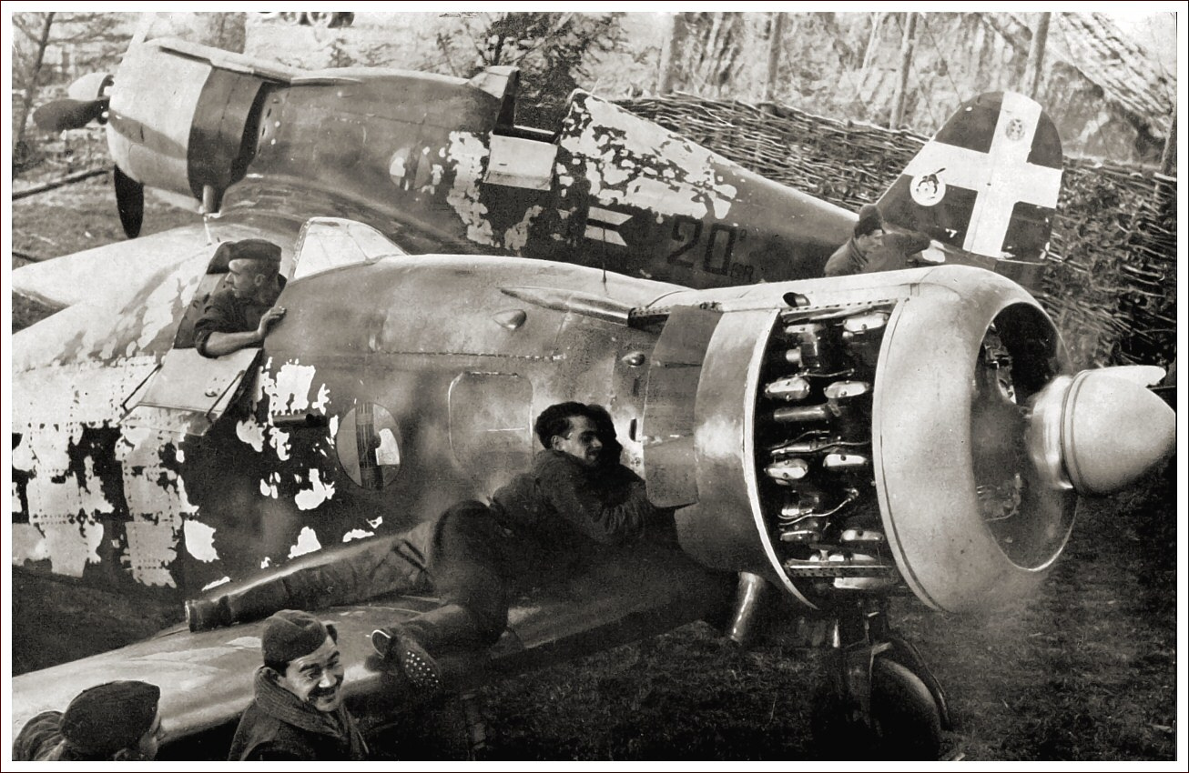 Fiat G.50 Freccia of the Regia Aeronautica