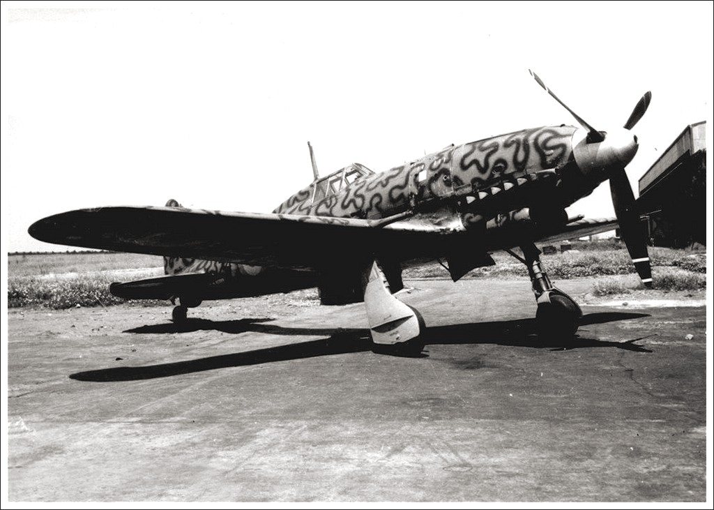 Macchi C.205 in Italian Co-Belligerent Air Force livery