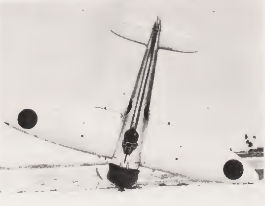 Mitsubishi A5M Type 96 Model 4 carrier fighter of the Chitose Air Group over China