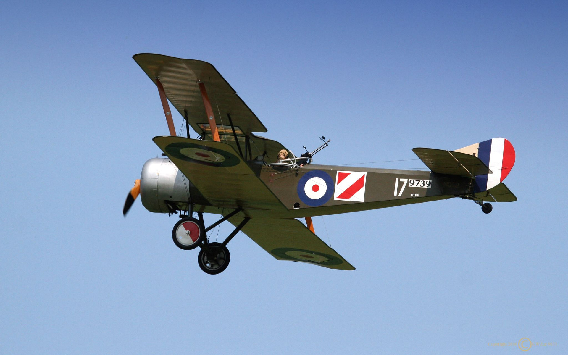 Airworthy Sopwith 1½ Strutter reproduction in flight