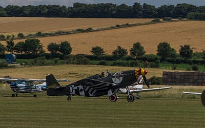 A Rare P-51 Mustang Flies Again