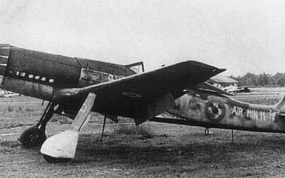 The Designer Who Outran Mustangs in His Own Fighter