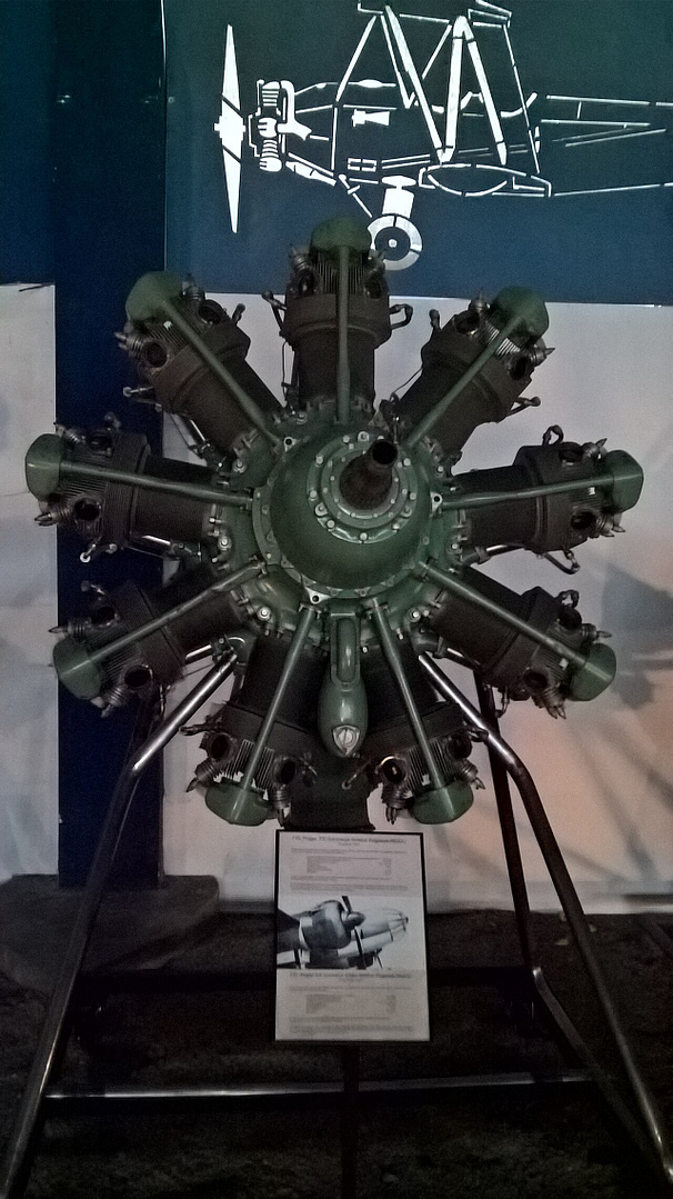 A surviving PZL-built Bristol Pegasus XX radial engine on display