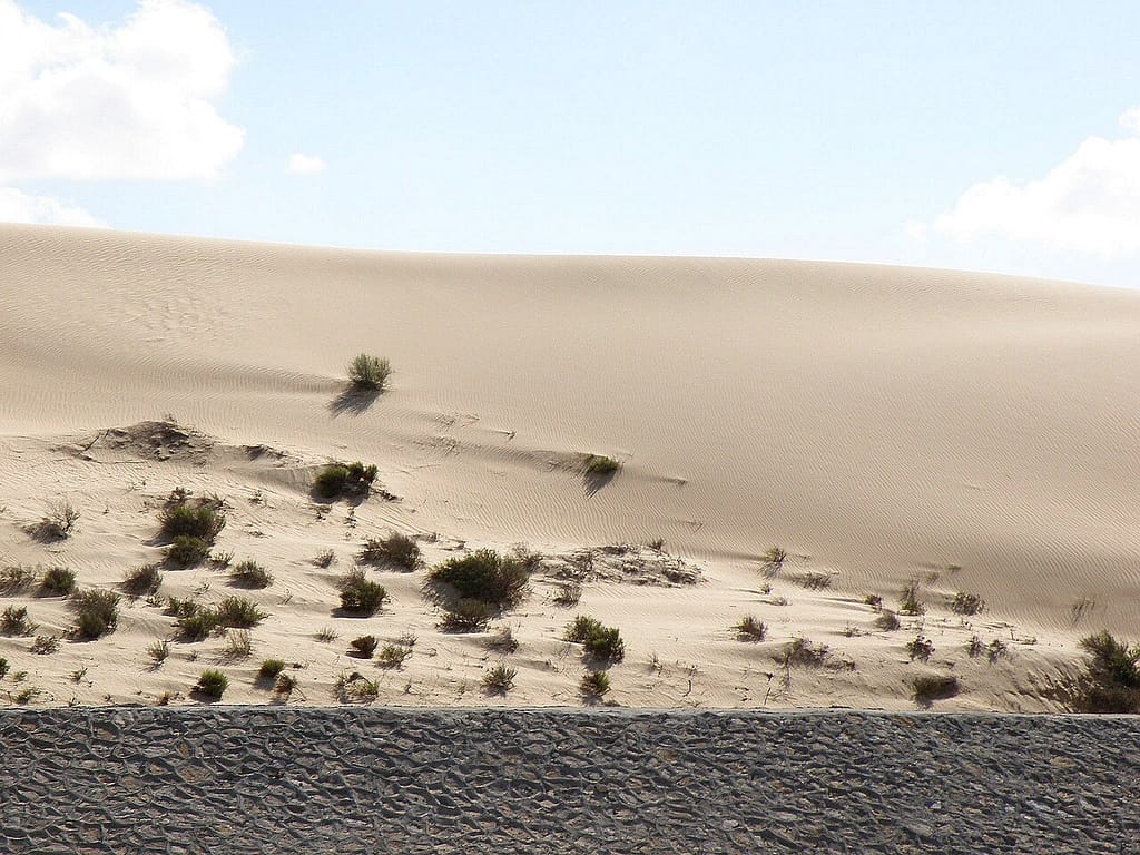 Sand dunes in the Sinai desert