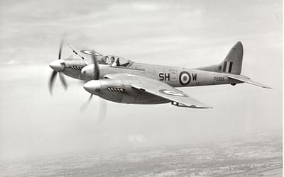 The Mosquito’s Deadly Twin