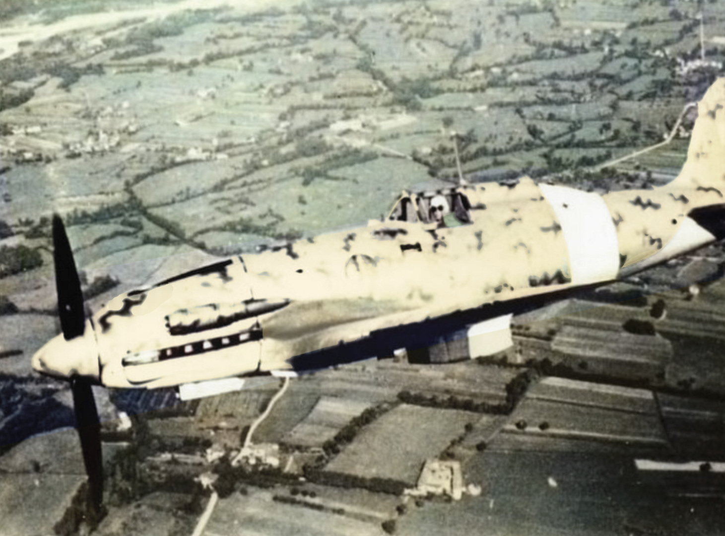 Macchi C.202 Folgore Italian WWII fighter in flight